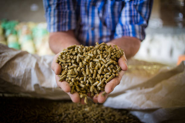 Hands holding organic animal feed pellets over feed sacks